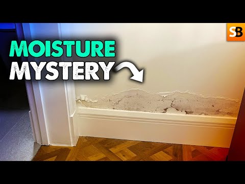 Видео: Тайна сырой стены ~ Сможете ли вы ее разгадать?