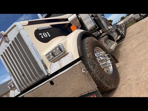 Видео: 215. Вот как бы я поступил? Если и начинать траковый бизнес, то только так! Trucking Boss!