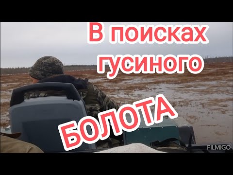 Видео: В поисках гусиного болота. Часть 1.