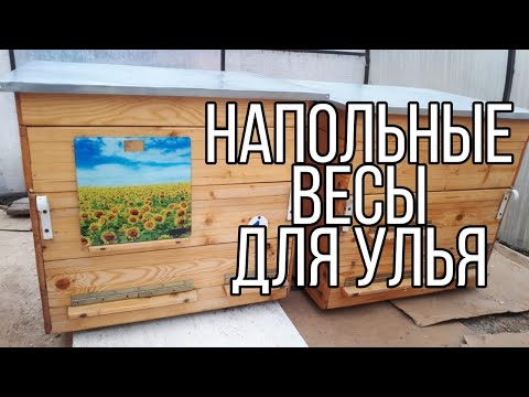 Видео: Электронные весы для улья за 600 рублей. Весы для габаритного груза.