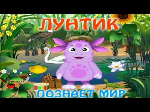 Видео: Познаем мир | Лунтик познает мир [PC]