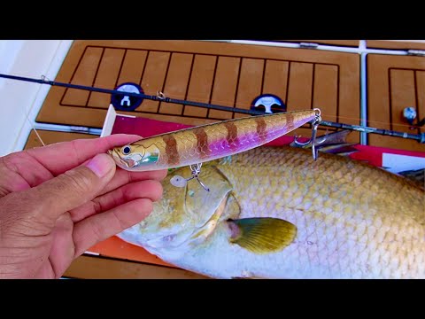 Видео: Эта приманка Topwater просто УДИВИТЕЛЬНА!