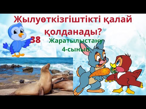 Видео: Жаратылыстану . Жылу өткізгіштікті қалай қолданады? 4-сынып. 38-сабақ