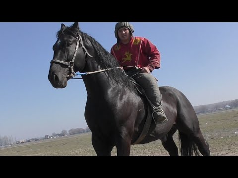 Видео: АТТАРДЫН АЛДЫ ЭКЕН ЖАНЫБАР "ЖЫРТКЫЧ & КАРЫШКЫР" / ТУЛПАР КР