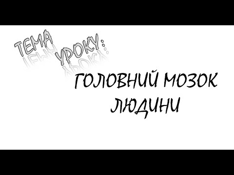 Видео: ГОЛОВНИЙ МОЗОК ЛЮДИНИ