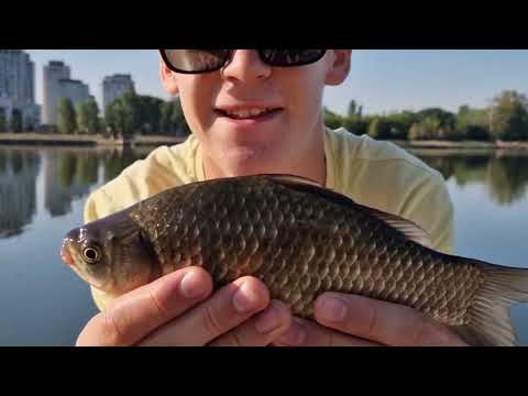 Видео: Рыбалка на набережной в Астане.Река ишим.Рыбалка на фидр .Очень много поклёвок. Поймал мега Карася