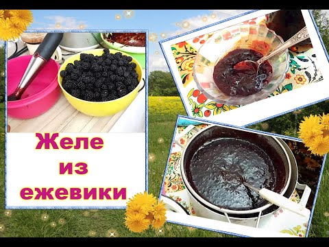 Видео: ✅ Желе из ежевики в баночке на зиму. ТОТ САМЫЙ - ПРОВЕРЕННЫЙ !