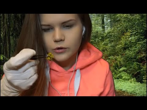 Видео: АСМР 👣 Криминальное расследование | Похищение в Лесу | Ролевая игра | ASMR Criminal Case