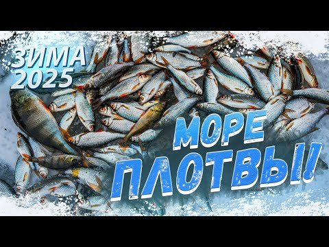 Видео: ЗИМНЯЯ РЫБАЛКА 2025 в Беларуси! МОРЕ ПЛОТВЫ И ПОКЛЕВКИ! Рыбалка на ВЯЧЕ