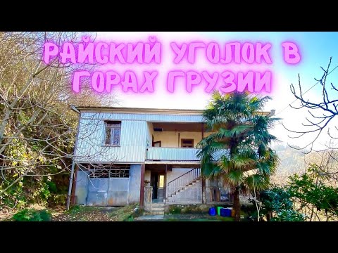 Видео: Дом в горном раю Грузии❤️ 70 т.$