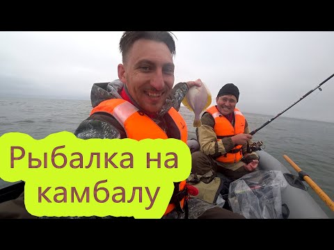 Видео: Ловля камбалы на Сахалине