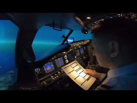 Видео: Подгорица - Тиват - Подгорица из кабины Boeing 737-800 на авиа-тренажере