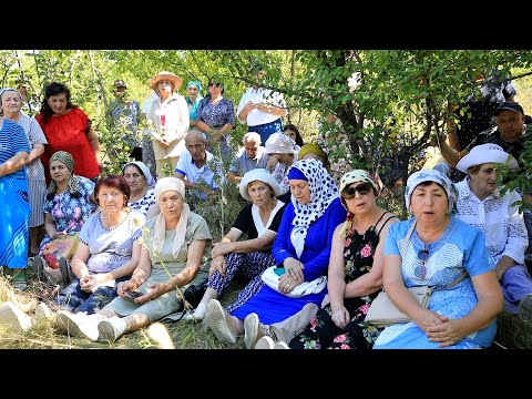 Видео: В Саватке встретились выходцы из четырёх сёл
