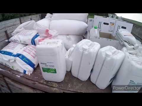 Видео: Подкормка подсолнечника по листу. Агро-канал