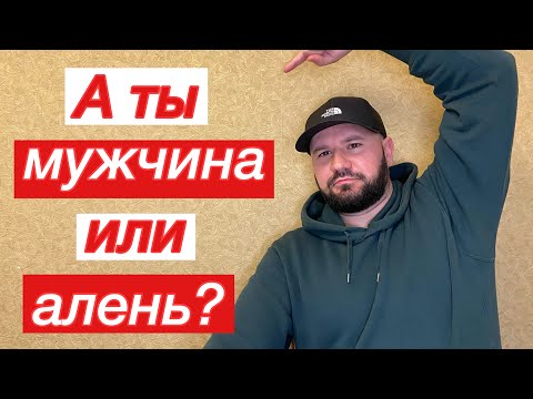 Видео: Мужчина алень кто это / Признаки аленя / Можно ли называть аленя мужчиной