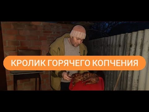 Видео: ОООЧЕНЬ ВКУСНЫЙ КРОЛИК !!!!