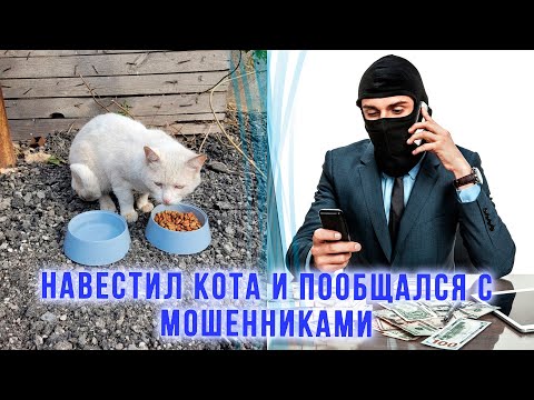 Видео: Навестил кота Кокосика с бывшей работы. Общение с мош*нник@ми. Осень в Алматы Сибиряки в Казахстане