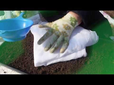 Видео: Ногоо тарих хичээл №1