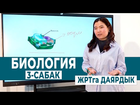 Видео: БИОЛОГИЯ 3-САБАК. КЛЕТКАНЫН ТҮЗҮЛҮШҮ ЖАНА АНЫН ИЧИНДЕГИ ОРГАНОИДДЕРДИН КЫЗМАТЫ | ЖРТга ДАЯРДЫК