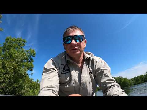 Видео: Камчатка,  река Большая, Чавыча нахлыст 29.06.2020 год.