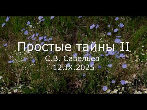 Видео: С.В. Савельев - Простые тайны II