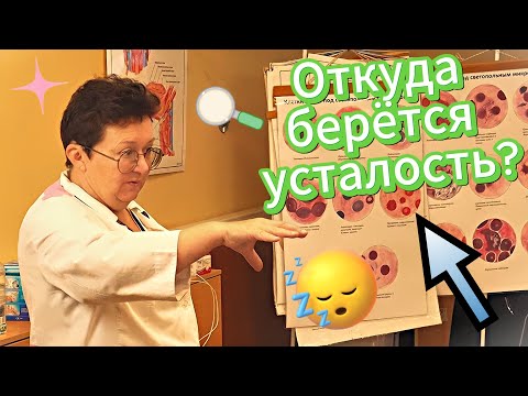 Видео: Почему мы устаём?