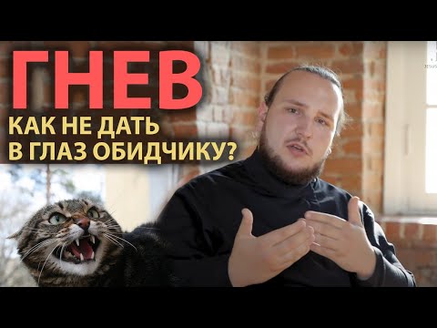 Видео: Принять гнев — что это значит? Беседа про проживание эмоций с диак. Иоанном Мыздриковым