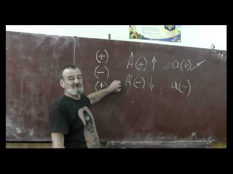 Видео: Драконоведение. Часть 19