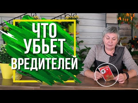 Видео: Фитоверм Инструкция Применения  ✔️ Как избавится От Насекомых Вредителей