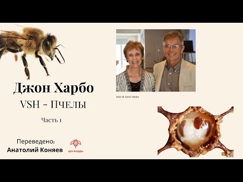 Видео: Интервью с доктором Джоном Харбо, открывшем VSH - признак ворроа устойчивой гигиены.