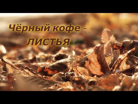 Видео: Чёрный кофе  -   Листья