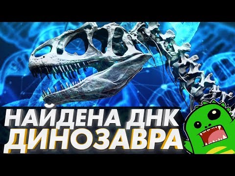 Видео: ДНК динозавра найдена — стоит ли радоваться? Когда клонирование динозавров? [Ученые скрывают]