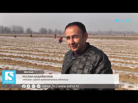 Видео: 11.02.2025. ЖЕТІСАЙ АУДАНЫ.  ҚЫРЫҚҚАБАТ ЕГУ ЖҰМЫСТАРЫ ҚАРҚЫН АЛДЫ