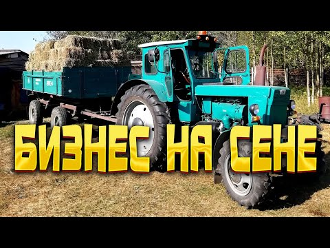 Видео: Как я сено в тюках продавал
