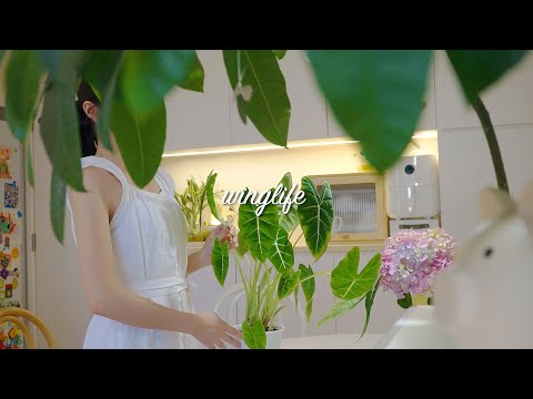 Видео: Советы по пересадке супер-дышащих растений🌿｜Забота о моих любимых растениях🪴