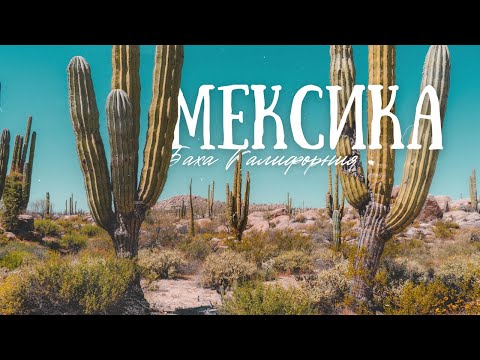Видео: TRAVEL VLOG: Мексика, где можно потрогать КИТОВ.