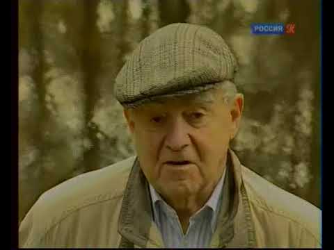 Видео: Даниил Гранин о жизни и о блокаде  2 фильм