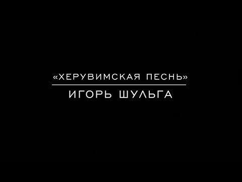 Видео: «Херувимская песнь» №2 Игорь Шульга