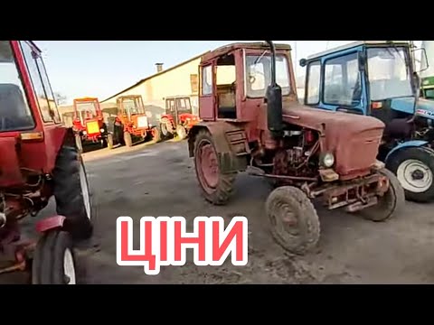 Видео: Ціни на Трактори Т-25, ЮМЗ, МТЗ