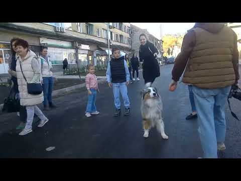 Видео: Празник в квартала. Габрово комлекс ,, Хр. Ботев ,, Откриване . 4К репортаж на www.33worlds.tv