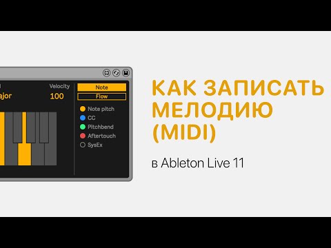 Видео: Как записать мелодию MIDI в Ableton Live 11 [Ableton Pro Help]