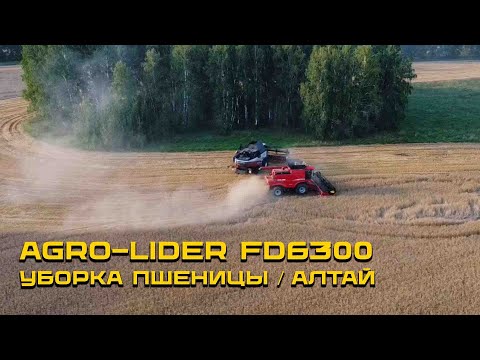 Видео: Тест-драйв комбайна AGRO-LIDER FD6300 / Уборка пшеницы / Алтайский край
