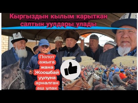 Видео: Полот ажыга арналган аш улак 24 октября 2024