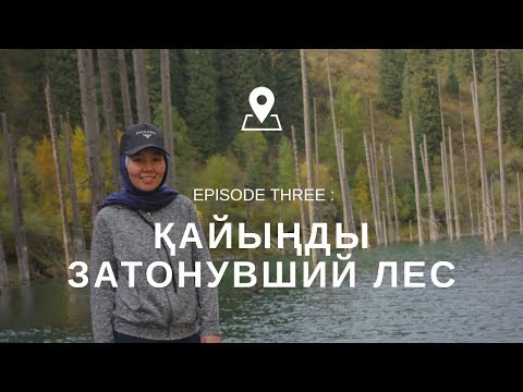 Видео: ҚАЙЫҢДЫ - ЗАТОНУВШИЙ ЛЕС В ГОРАХ АЛМАТЫ.