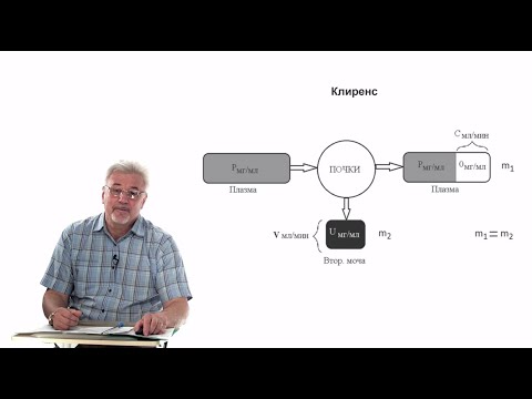 Видео: Евсеев А.В. Нормальная физиология. Лекция №28 .Почки. Количественный анализ, регуляция. 2024