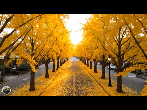 Видео: Самая красивая мелодия на свете – Осень! ФАНТАСТИЧЕСКИ КРАСИВЫЕ И ЛУЧШИЕ ТРЕКИ ДЛЯ ДУШИ! СЛУШАЙ