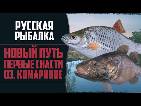 Видео: Новый Путь в РР4 #1 🔴 Стартовые Снасти | Фарм Новичка | Первые Успехи