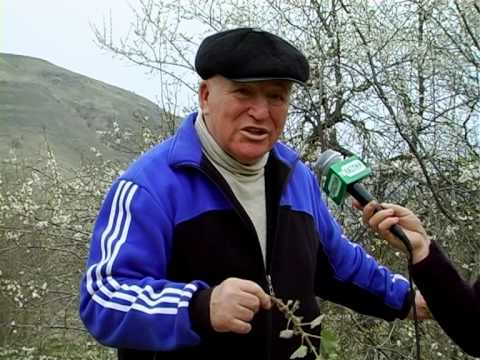 Видео: передача про травы(Яргиль)