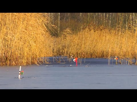 Видео: НЕБЕЗПЕЧНИЙ ЛІД 2025! ХТОСЬ ПРОВАЛИВСЯ! ЕКСТРИМАЛЬНА ЗИМОВА РИБАЛКА на ЖЕРЛИЦІ! ЛОВЛЯ ЩУКИ І ОКУНЯ!