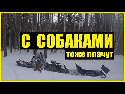 Видео: Обзор мотособаки | Койра Богатырь  | Дело было в гараже